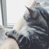 小外
