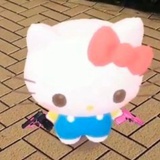PuFFken