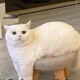 WOWO