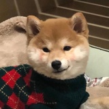。