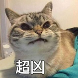 天才圆交少女