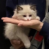 her