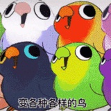白壳壳