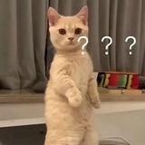 一头雾水