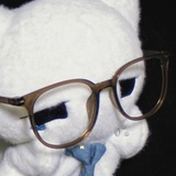 贝莱斯芽孢杆菌