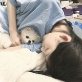 春禾吟