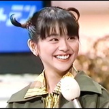 布芝盗