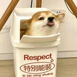 阿宽宽。