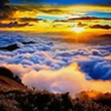 禅腻师