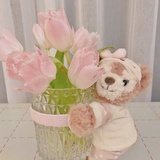 小熊收藏家bear