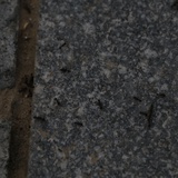泡泡