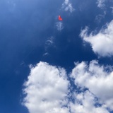 3101020
