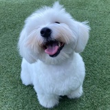 不巧不太巧