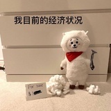 香脆小肉酥