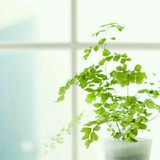 Spring_502