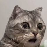 很困