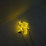 鱼鱼鱼什么鱼