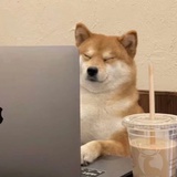 反方向