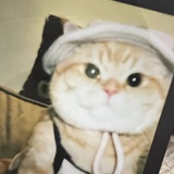 零叁零伍