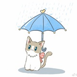 苏桃