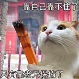 陈小熊在修仙