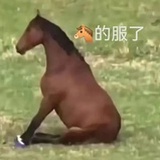 马德