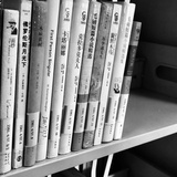 月光爱人爱月光