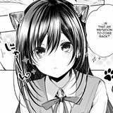 奶牛猫
