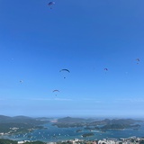 小猫