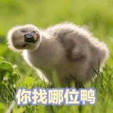 丝萝