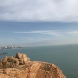 或樱