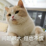 绿豆糕