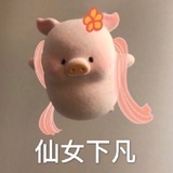 zozo