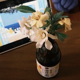 魏知白