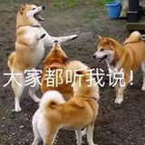 豆友161156768