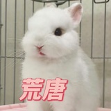北葵