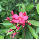 黑白旋律