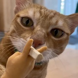 你在教我做嘢？