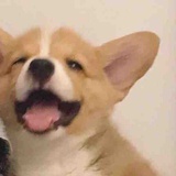得了吧