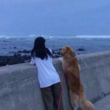 你不管