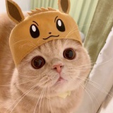 鱼子酱
