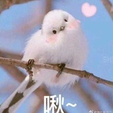 ♾️