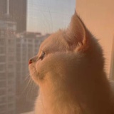 只道寻常