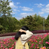 薄雾