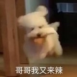 酸奶菠萝包