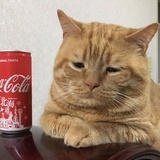 彼得潘