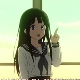 书橱里的猫