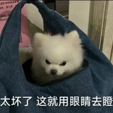 少宽