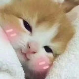 锦瑟