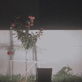 Uchi_